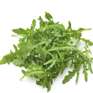 Rucola